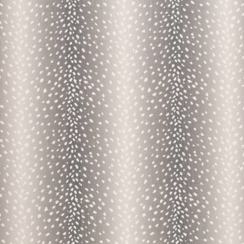 Charlotte Fabrics D3779 Shadow Fabric | Atlanta Fabrics