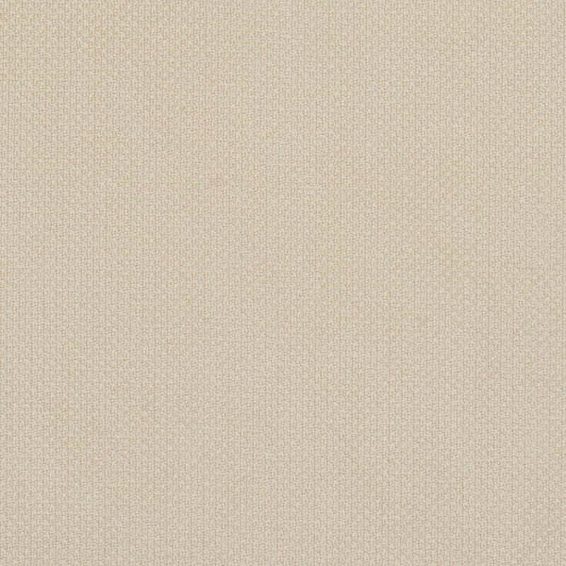 Charlotte Fabrics D629 Ivory Fabric | Atlanta Fabrics