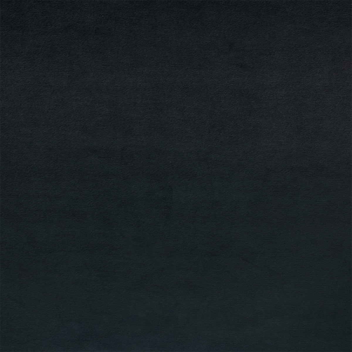 F6391 MIDNIGHT