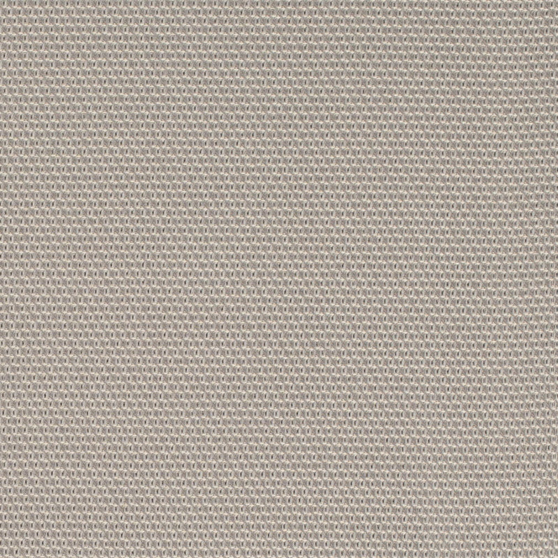 Charlotte Fabrics D4624 Platinum Fabric | Atlanta Fabrics