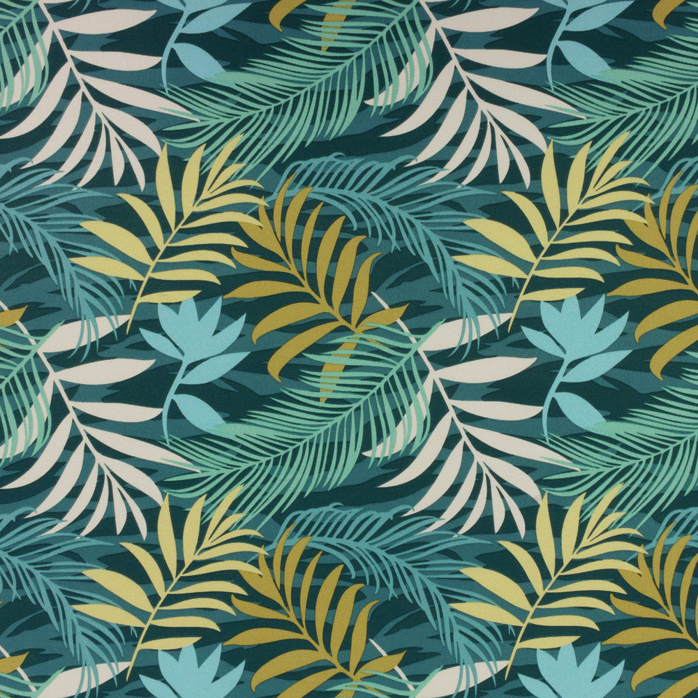 MAYLANDP-PALM