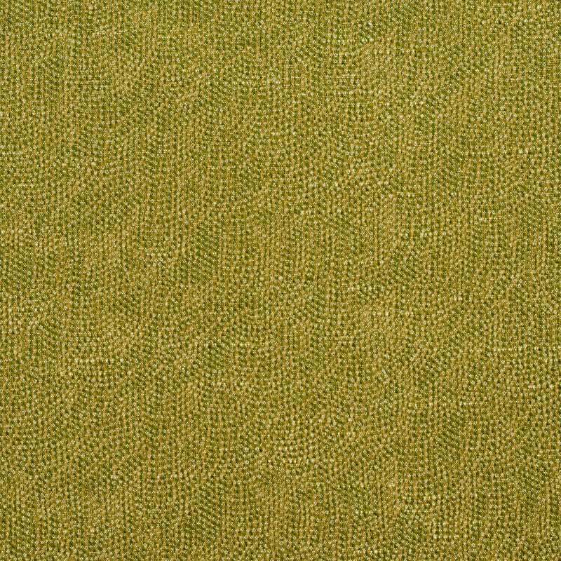 Charlotte Fabrics 4447 Fern  | Atlanta Fabrics