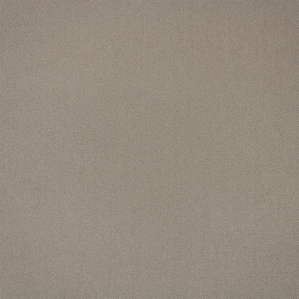F6381 CEMENT