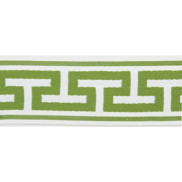 Europatex PERGOLA - EMBROIDERED TAPE - LIME Trim Trim | Atlanta Fabrics