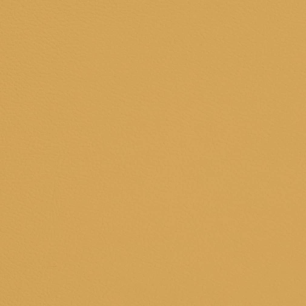 V666 Canary