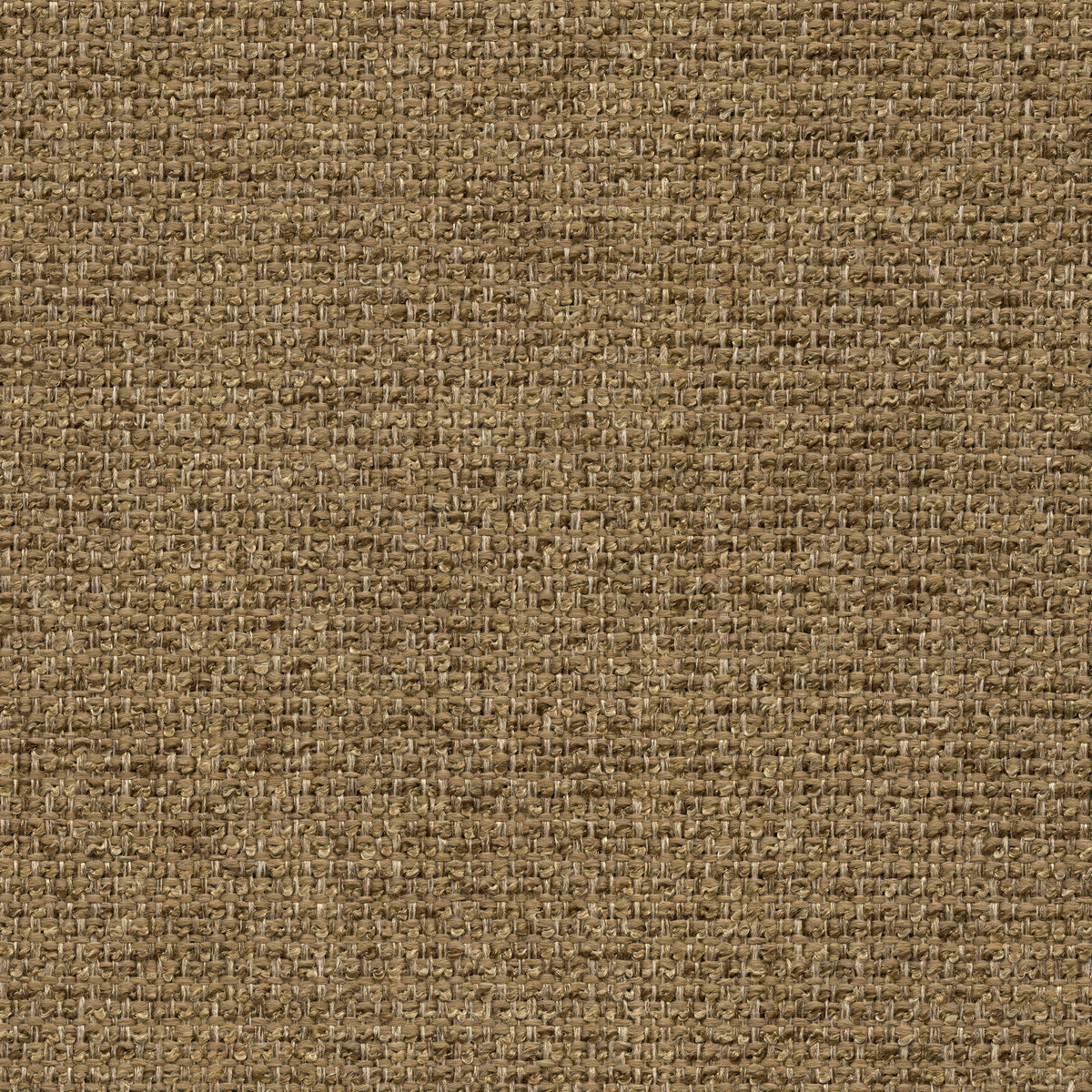 Luxury Fabrics 53421 CAMEL (CHORUS) Fabric | Atlanta Fabrics