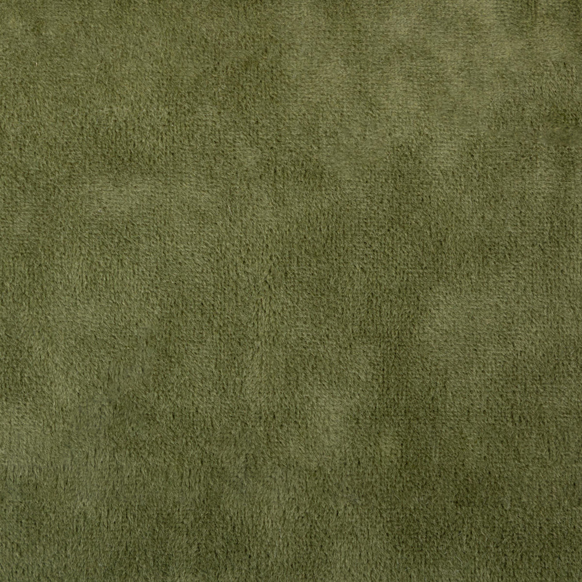 F5336 CLOVER