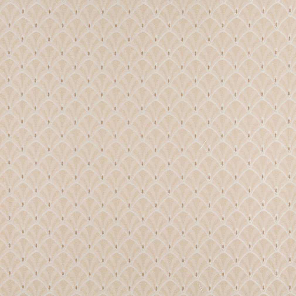 Charlotte Fabrics 4303 Ecru Fan  | Atlanta Fabrics