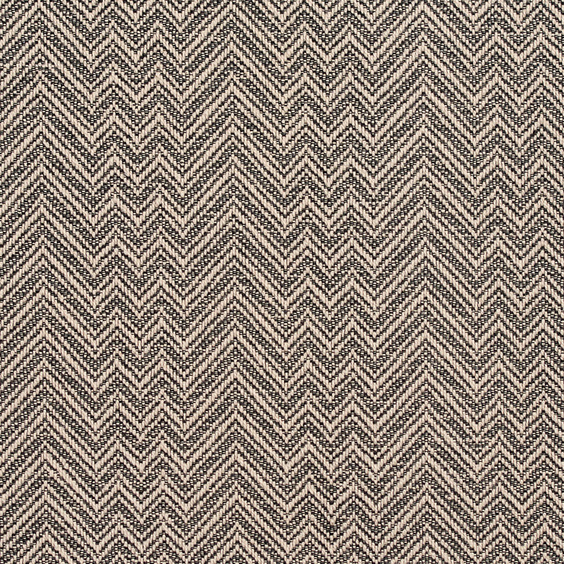 Charlotte Fabrics D387 Tuxedo Fabric | Atlanta Fabrics