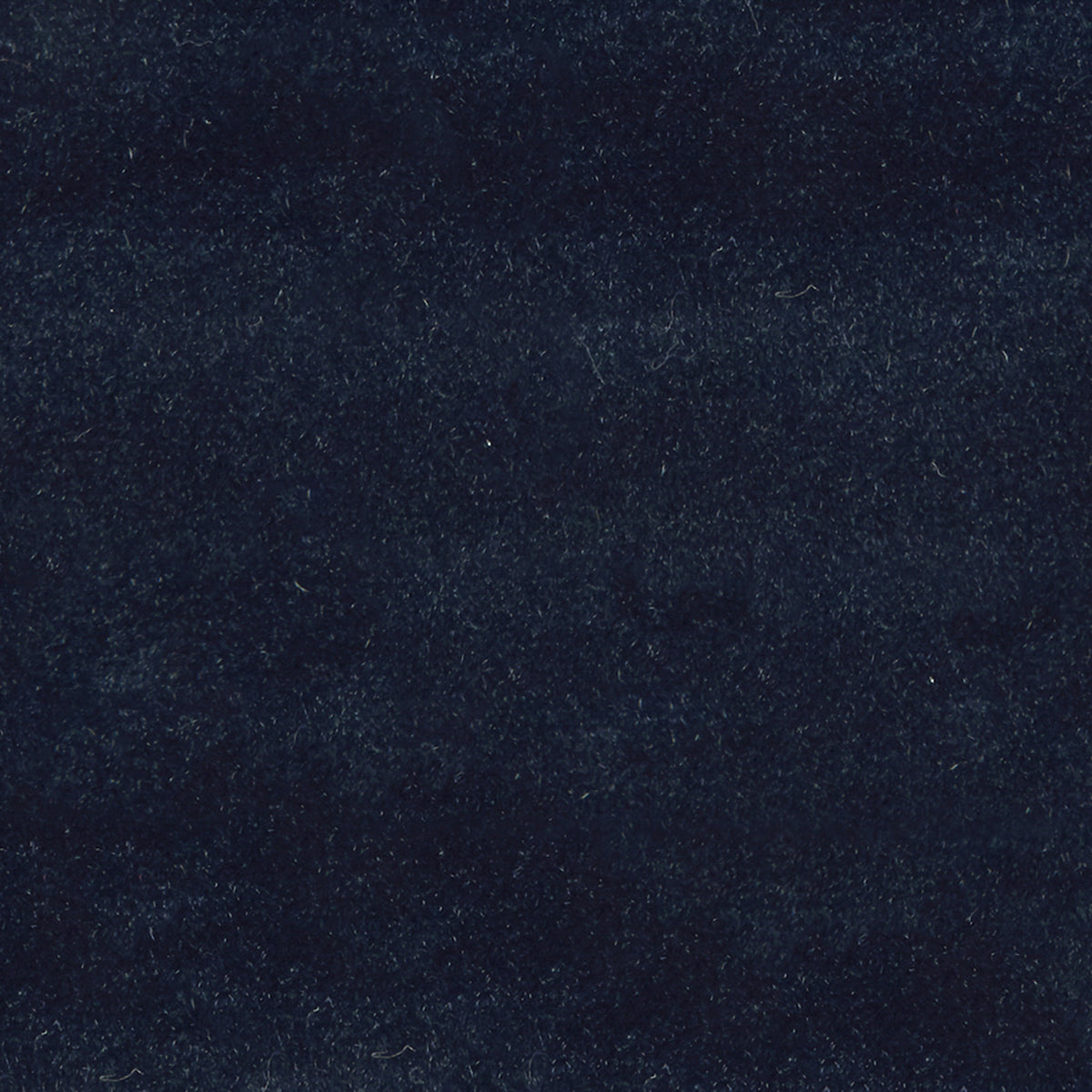 F1825 NAVY