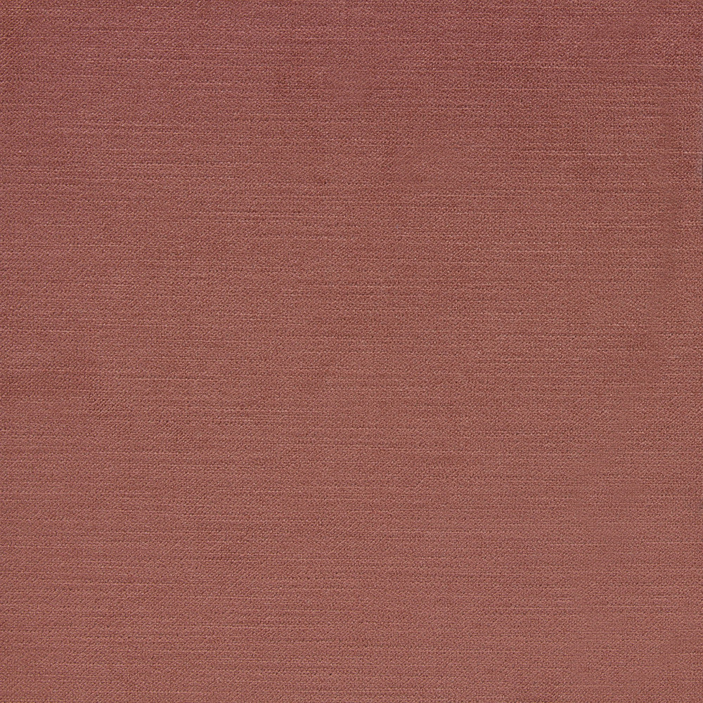 VIVOLI-ROSY