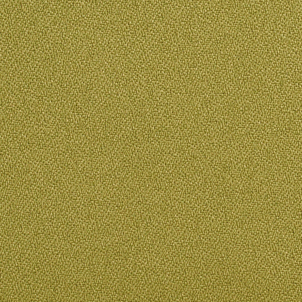 Charlotte Fabrics 1763 Aloe Fabric | Atlanta Fabrics