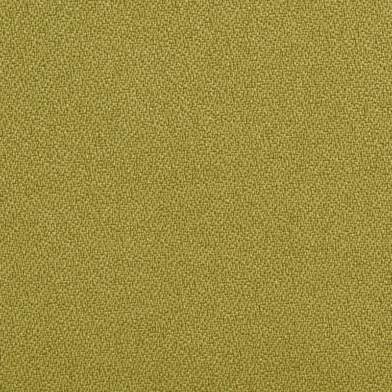 Charlotte Fabrics 1763 Aloe Fabric | Atlanta Fabrics