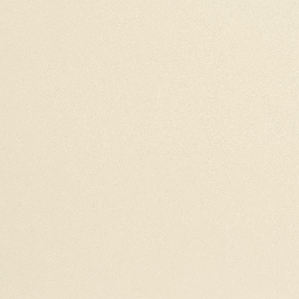 8207 Bone