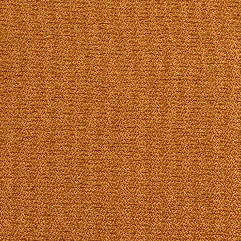 Charlotte Fabrics 1729 Nugget Fabric | Atlanta Fabrics
