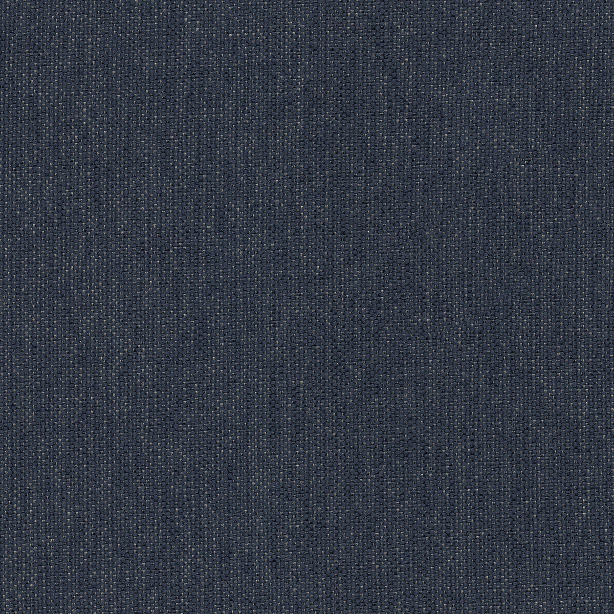 53043 NAVY (CANDY)