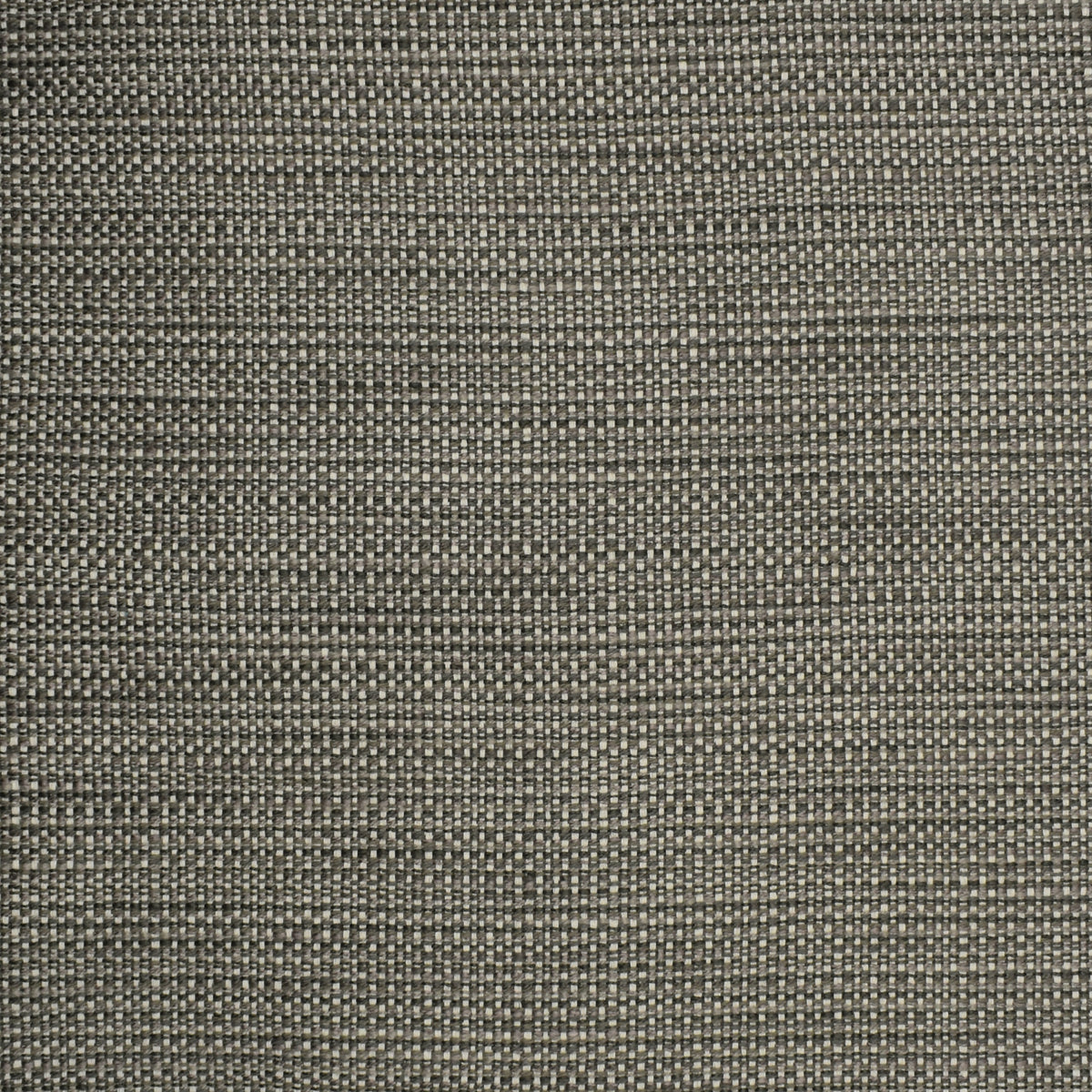 S2303 Chrome Discontinued Pattern