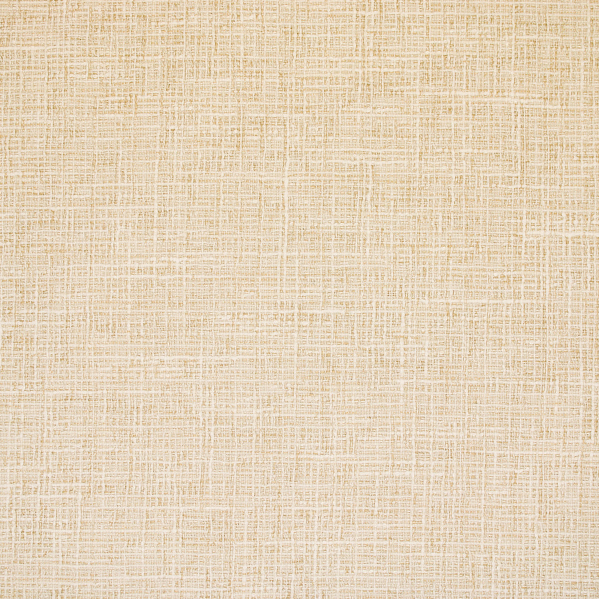 S6546 OYSTER