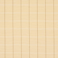 Schumacher Frannie Windowpane Fabric | Atlanta Fabrics