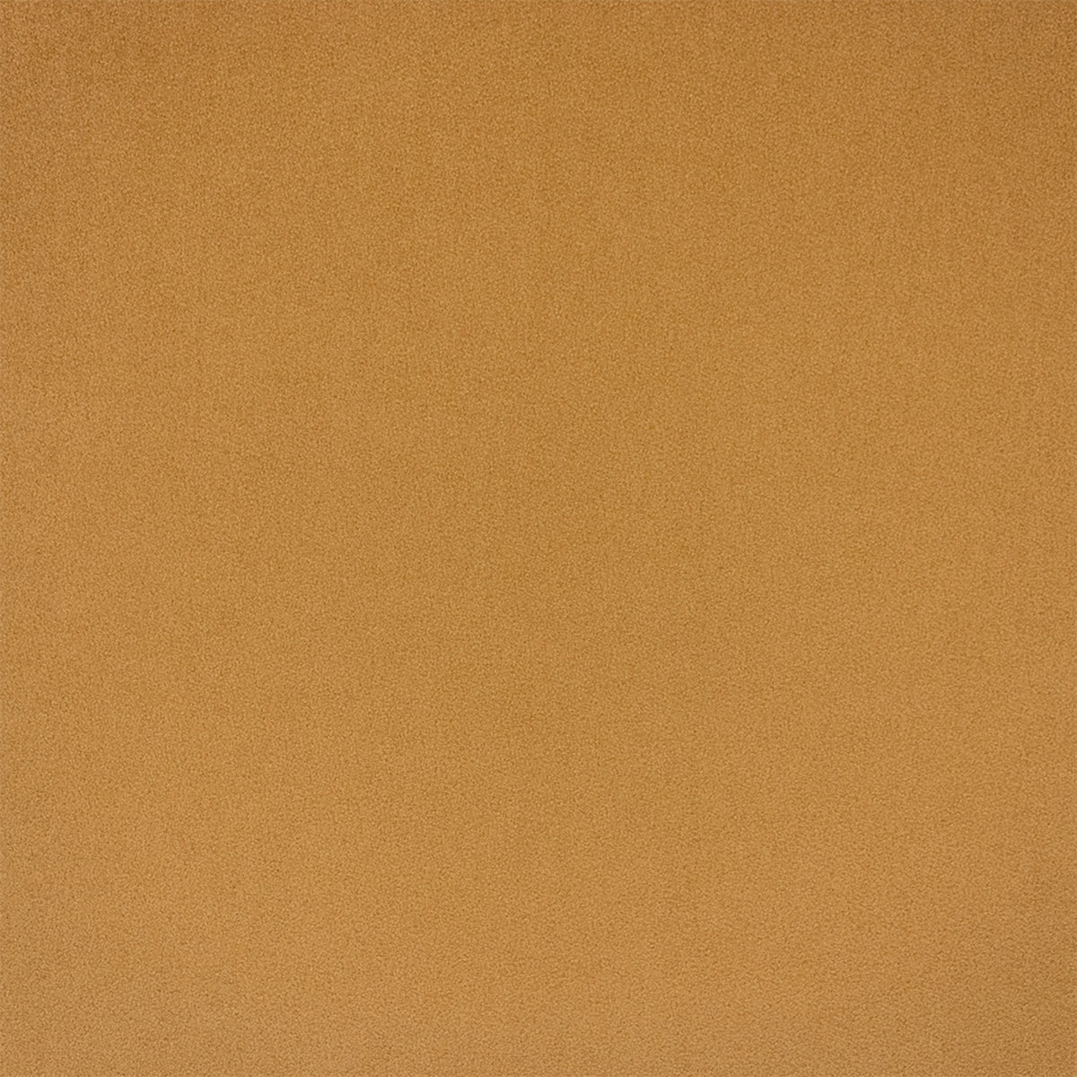 F6403 MAIZE