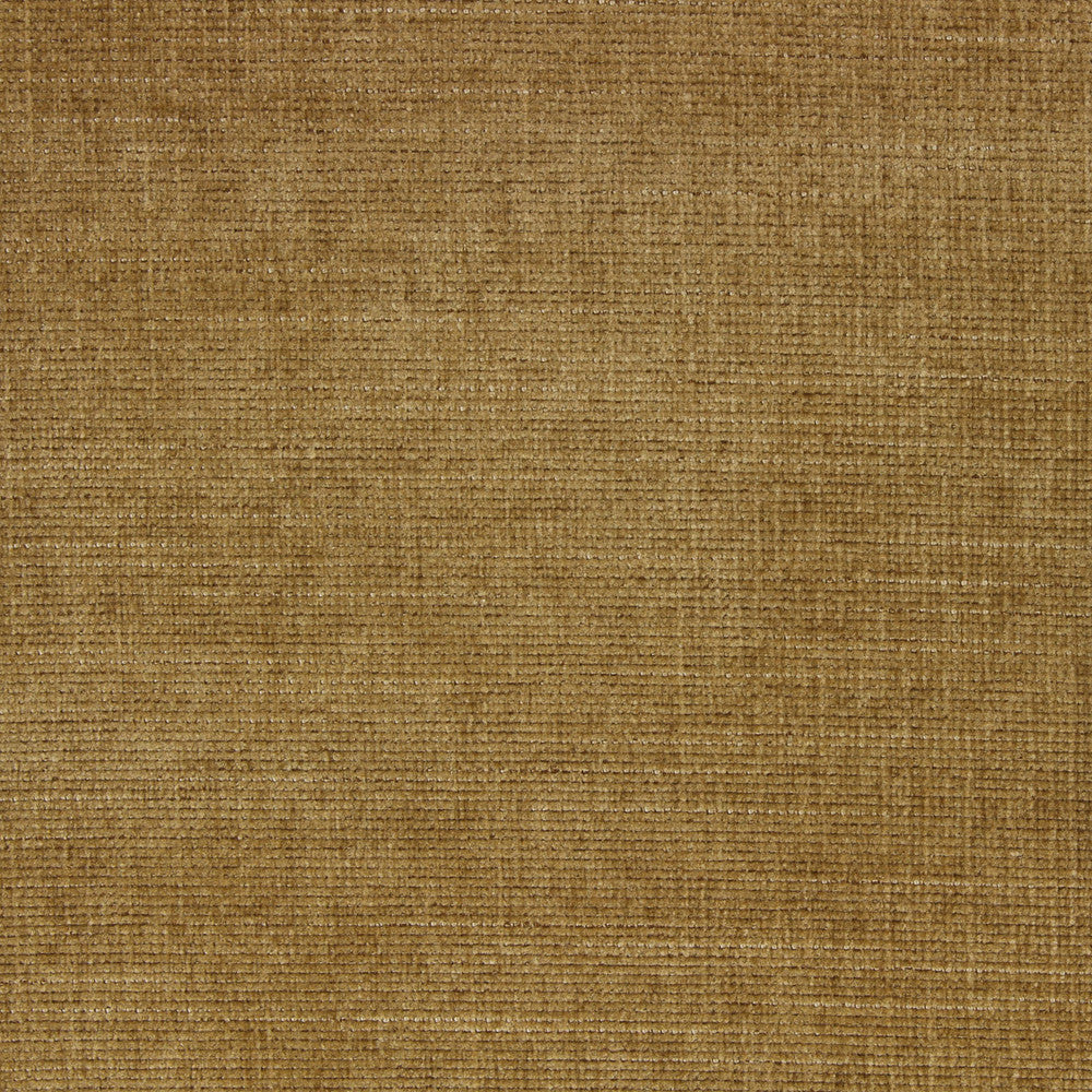 SEGMENT-AMBER