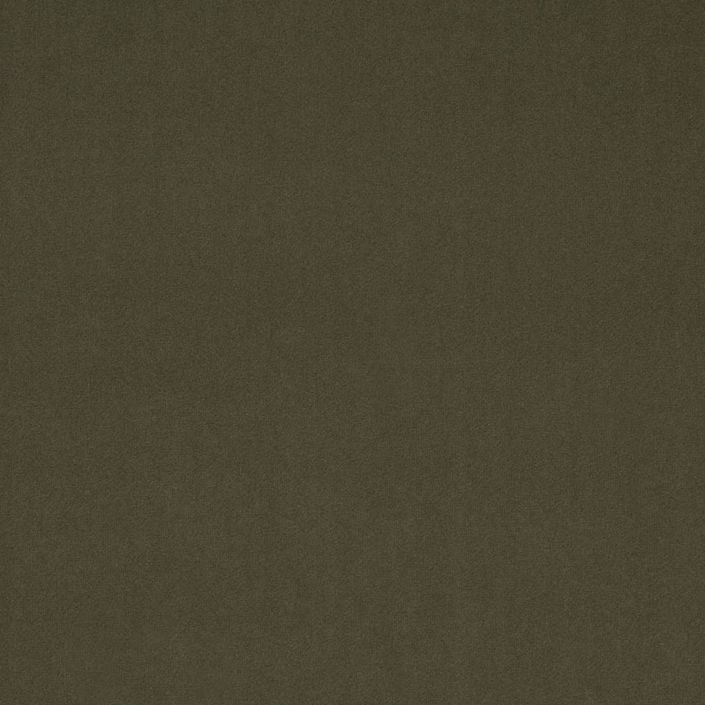 Charlotte Fabrics D4772 Moss Fabric | Atlanta Fabrics