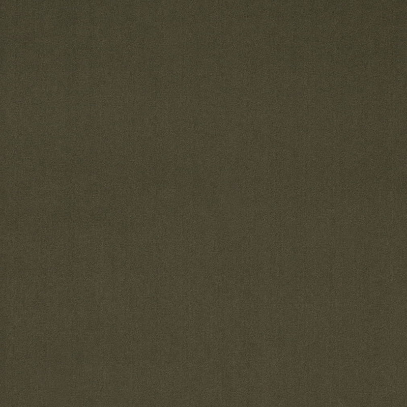 Charlotte Fabrics D4772 Moss Fabric | Atlanta Fabrics