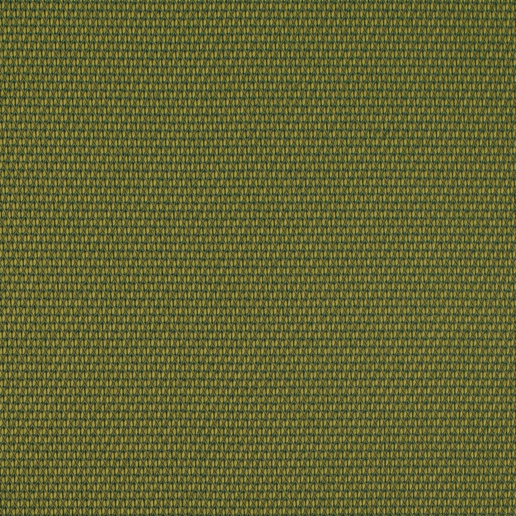 D4629 Lime