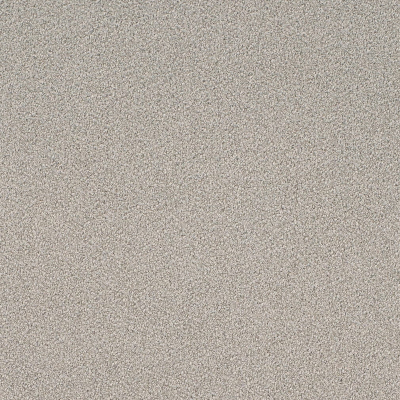 Charlotte Fabrics D4658 Sterling Fabric | Atlanta Fabrics