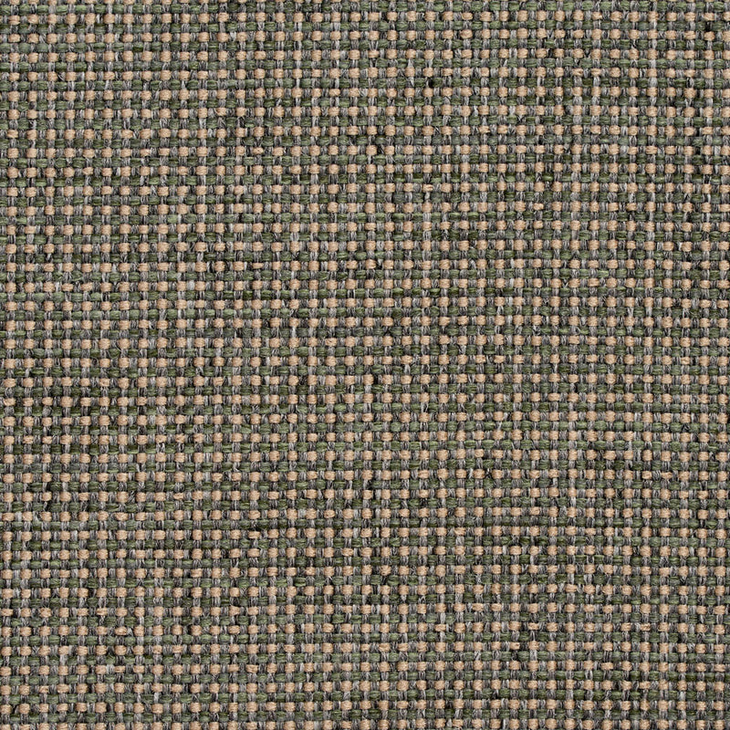 Charlotte Fabrics 4005 Aloe  | Atlanta Fabrics