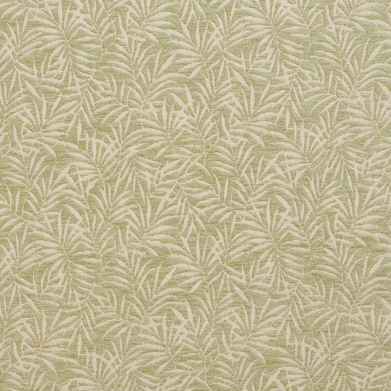 Charlotte Fabrics 20820-06 Fabric | Atlanta Fabrics