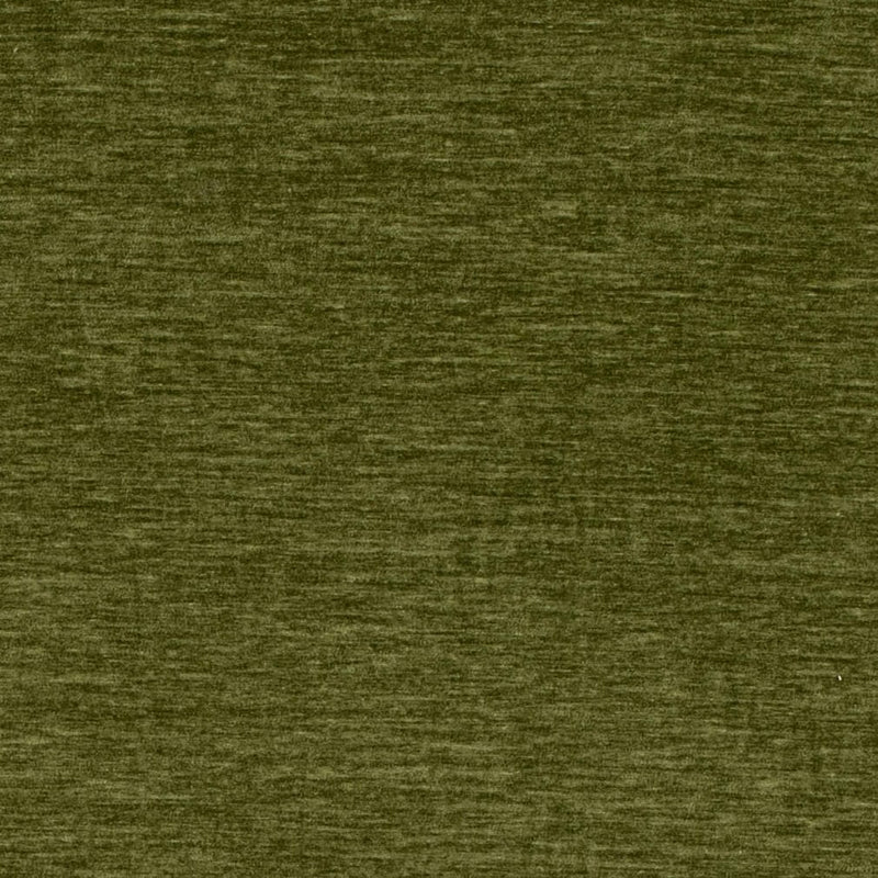 Charlotte Fabrics D4708 Olive Fabric | Atlanta Fabrics