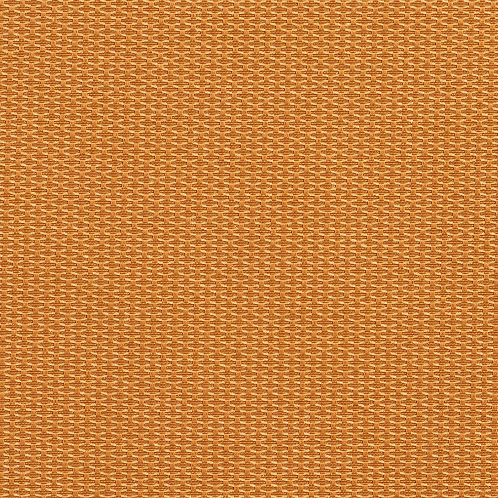 Charlotte Fabrics 1717 Bullion Fabric | Atlanta Fabrics