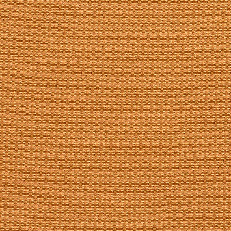 Charlotte Fabrics 1717 Bullion Fabric | Atlanta Fabrics