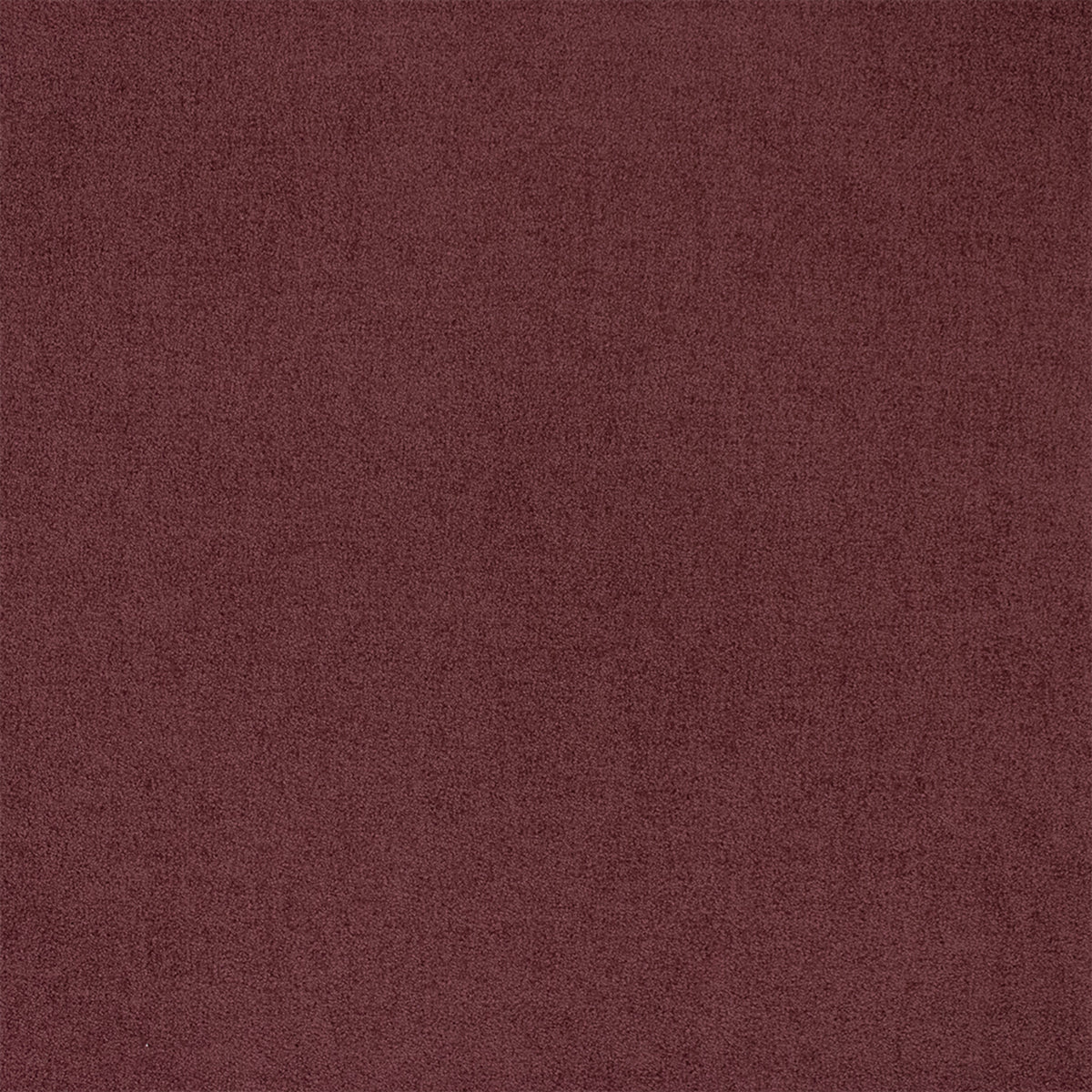 F6362 BERRY STAIN