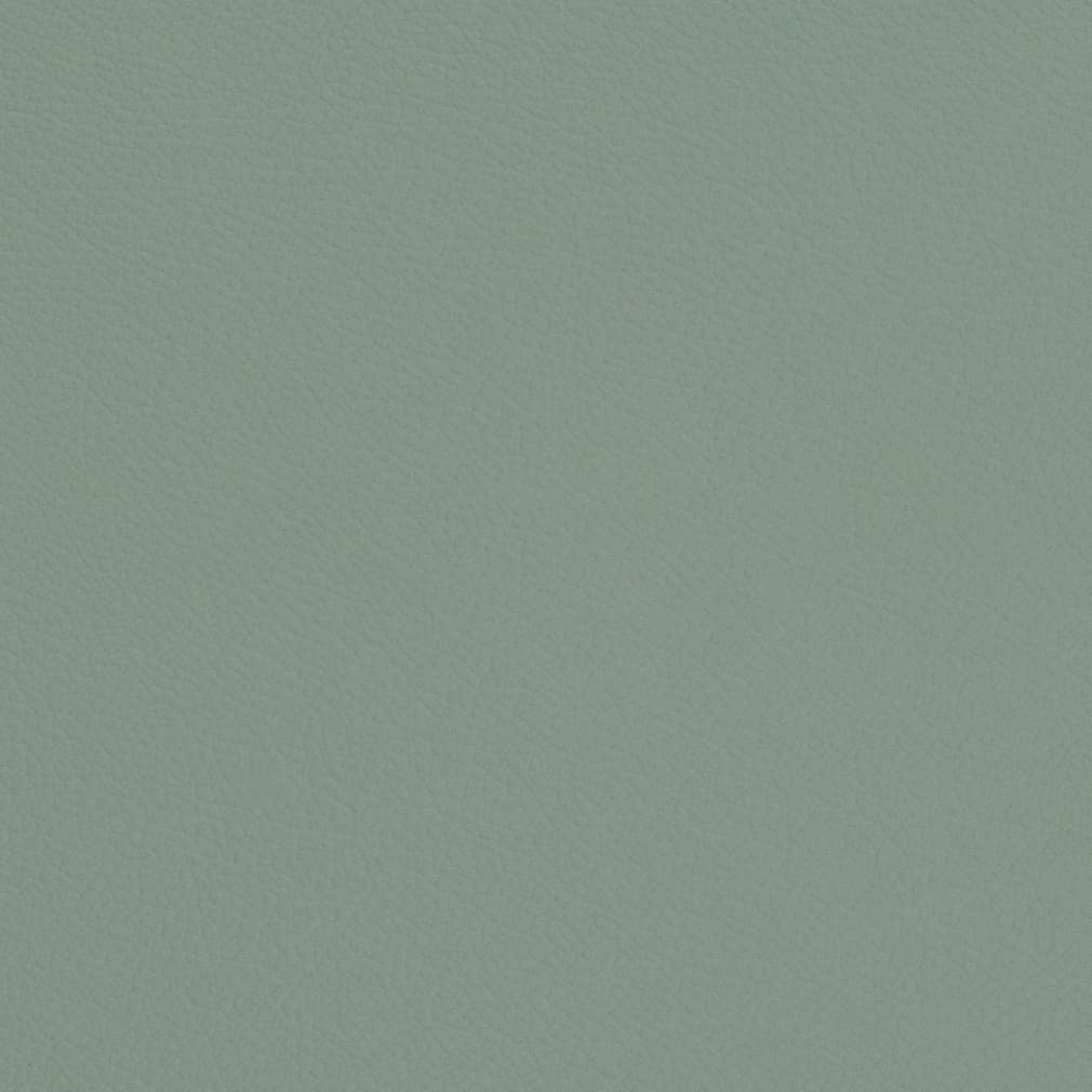 V676 Cyan