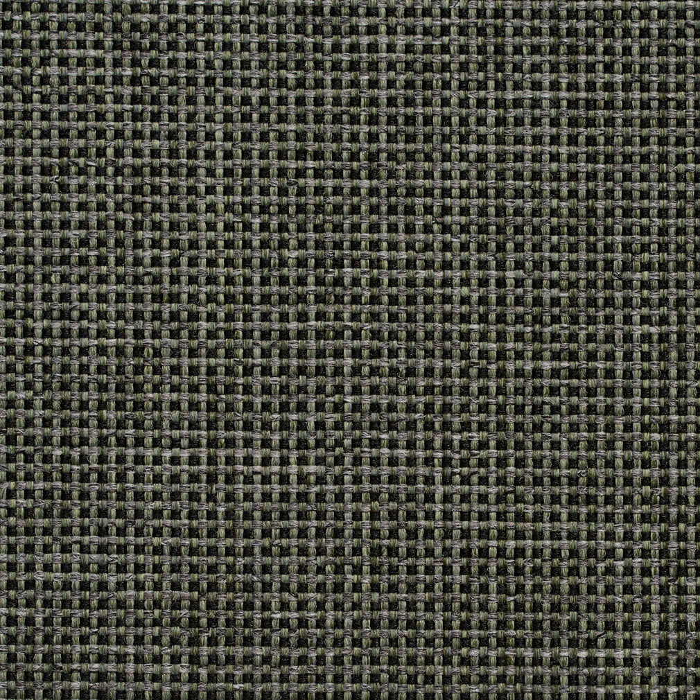 Charlotte Fabrics 4105 Forest  | Atlanta Fabrics