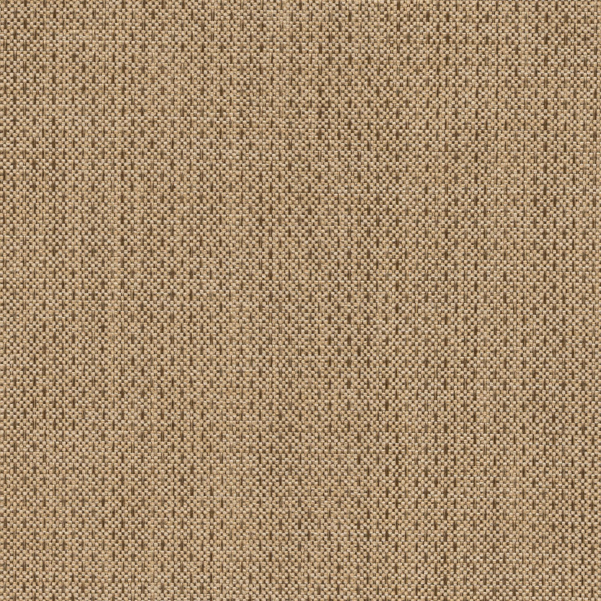 53532 LINEN (ALLURE)