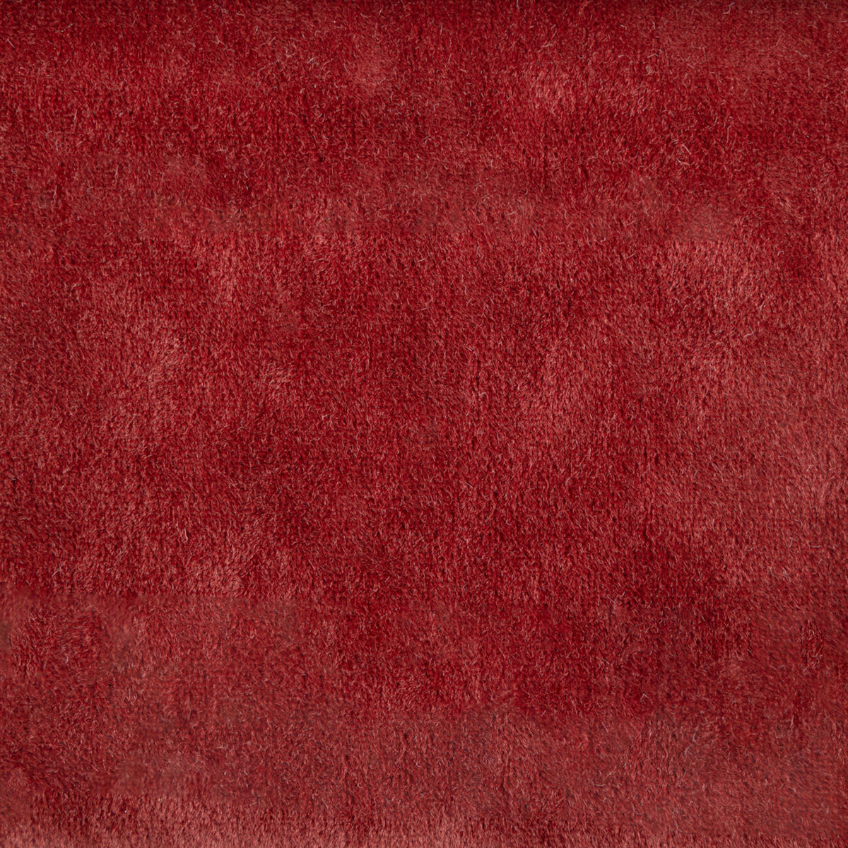 F5346 MERLOT