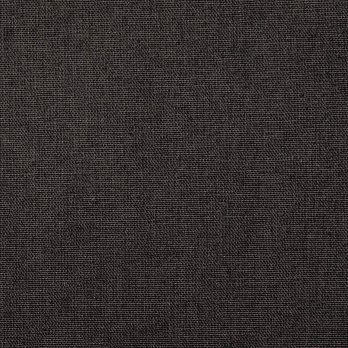 Daffy-Dark Grey