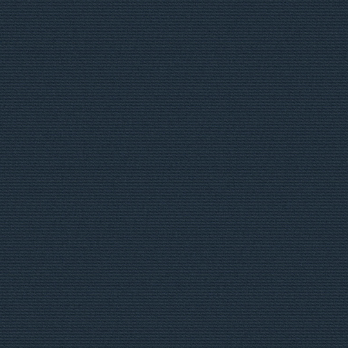A1306 Neptune