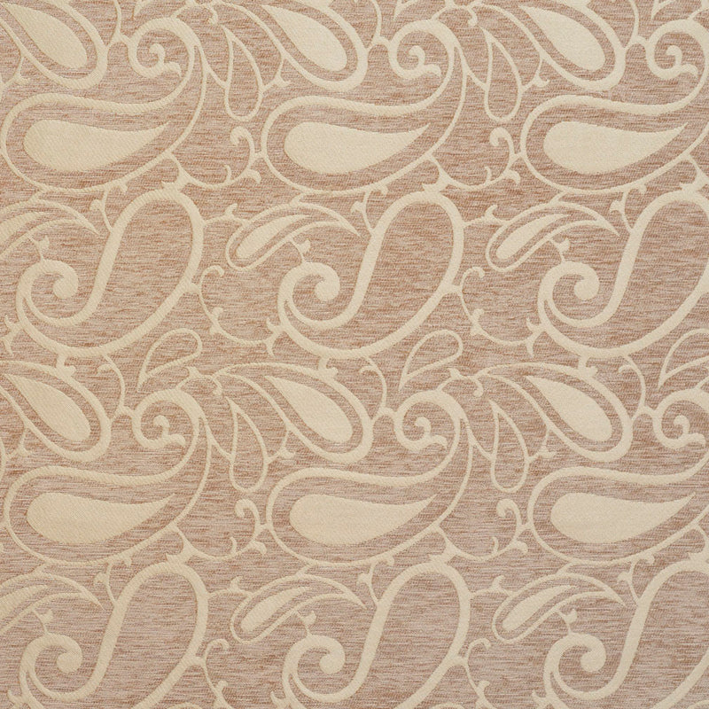 Charlotte Fabrics 20800-03 Fabric | Atlanta Fabrics