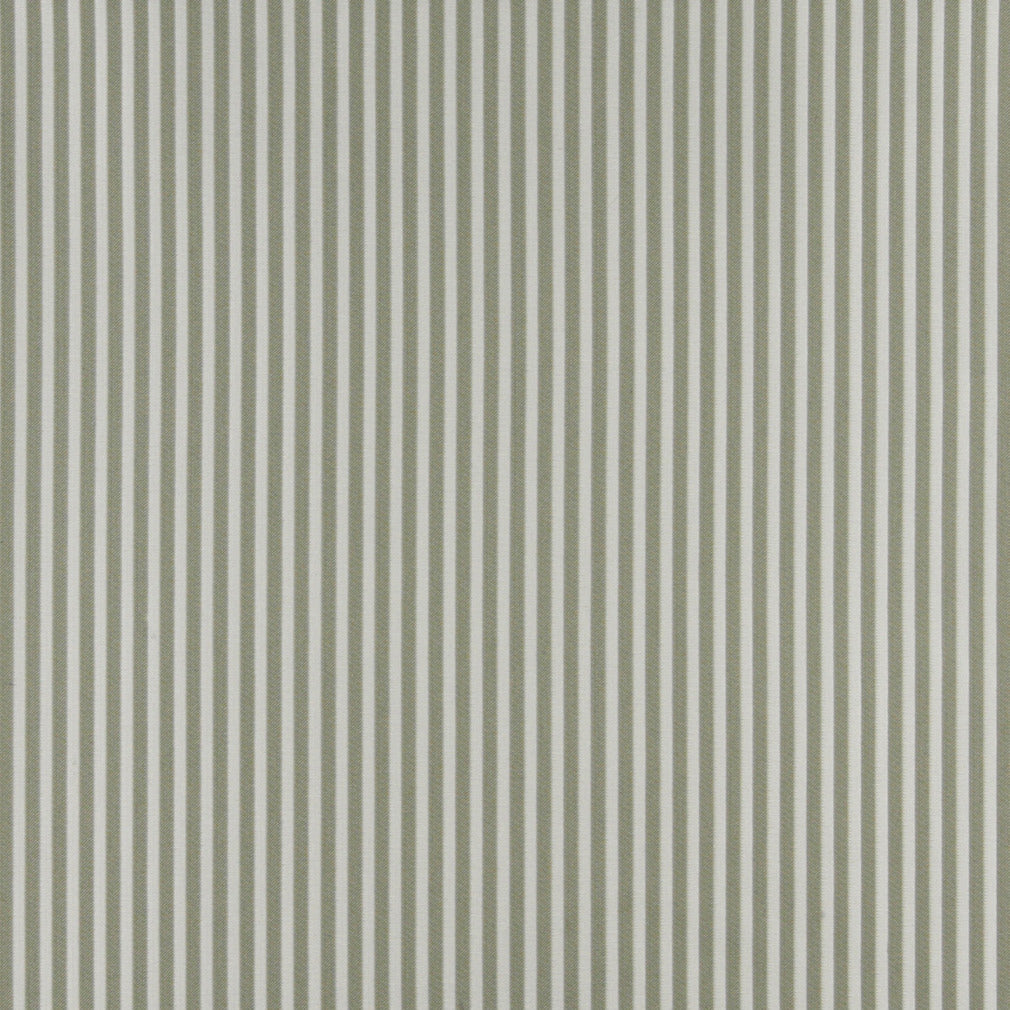 4370 Spring Stripe