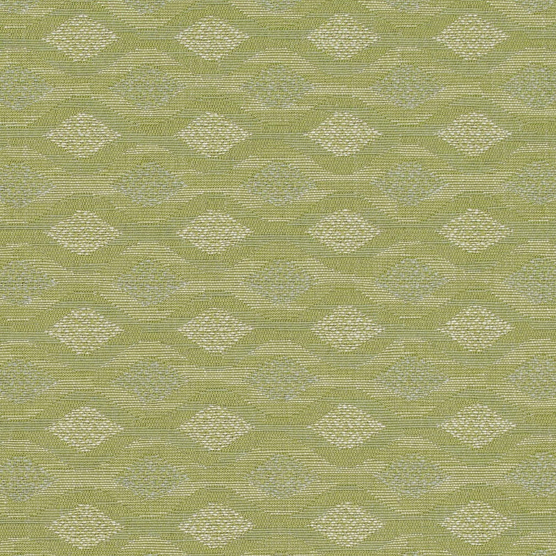 Charlotte Fabrics D4647 Sage Fabric | Atlanta Fabrics