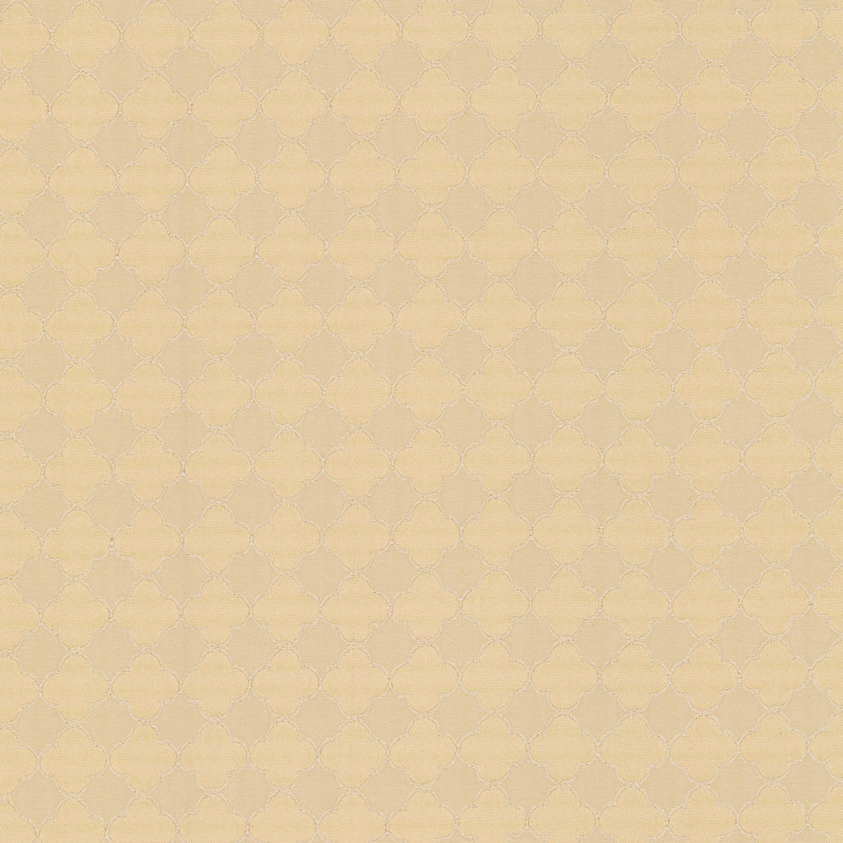 S7991 SHELL