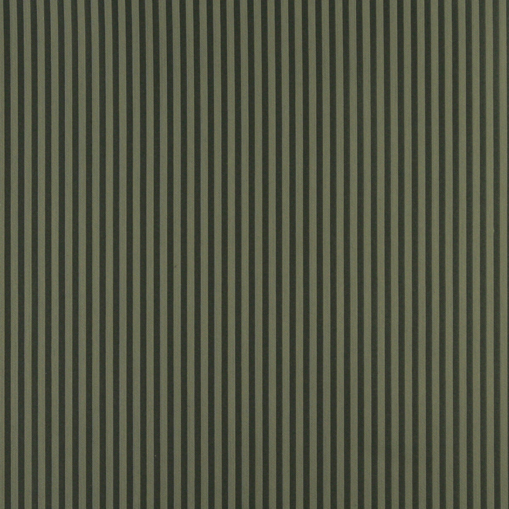 Charlotte Fabrics 4366 Alpine Stripe  | Atlanta Fabrics