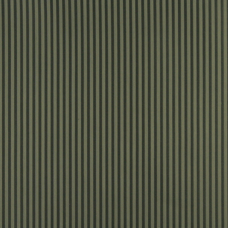 Charlotte Fabrics 4366 Alpine Stripe  | Atlanta Fabrics