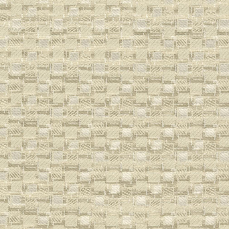Charlotte Fabrics D923 Squares/Canvas Fabric | Atlanta Fabrics