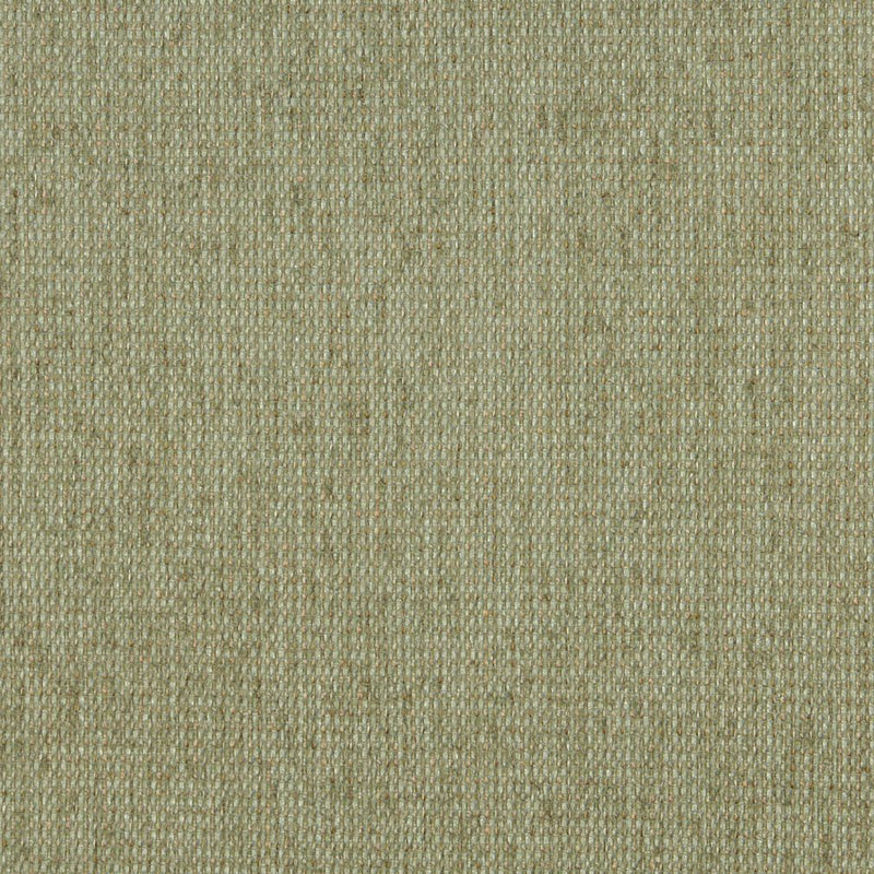 Charlotte Fabrics 5170 Willow  | Atlanta Fabrics