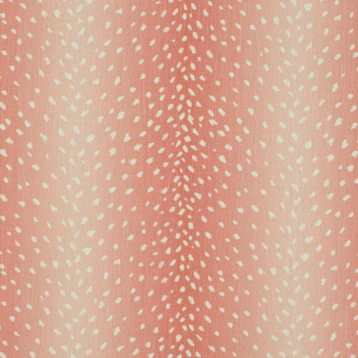 Charlotte Fabrics CB900-203 Fabric | Atlanta Fabrics